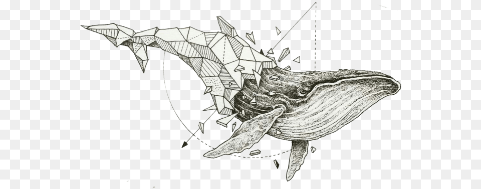 Tattoo Flash Drawing Sleeve Artist Hd Image Clipart Geometric Whale Tattoo, Art Free Png Download