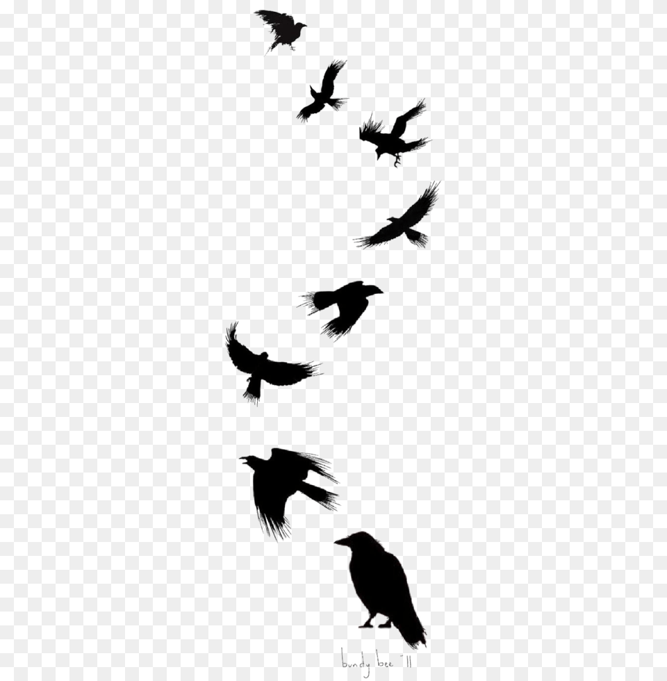 Tattoo Flight Crow Drawing Common Ink Bird, Animal, Outdoors, Nature, Stencil Free Png Download