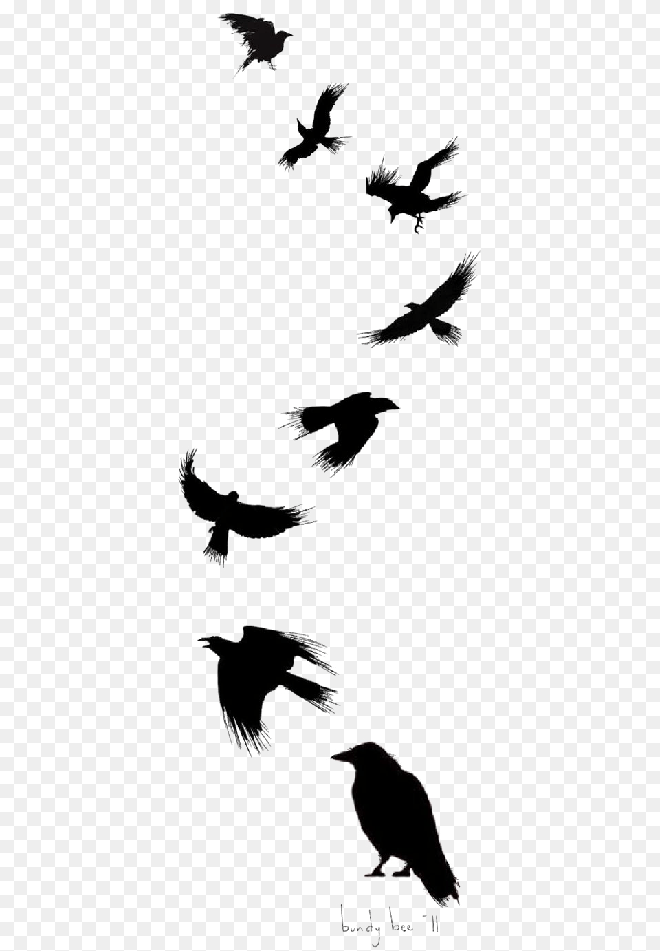 Tattoo Flight Crow Drawing Common Ink Bird Clipart Raven Silhouette Tattoo, Animal, Water, Outdoors, Stencil Png