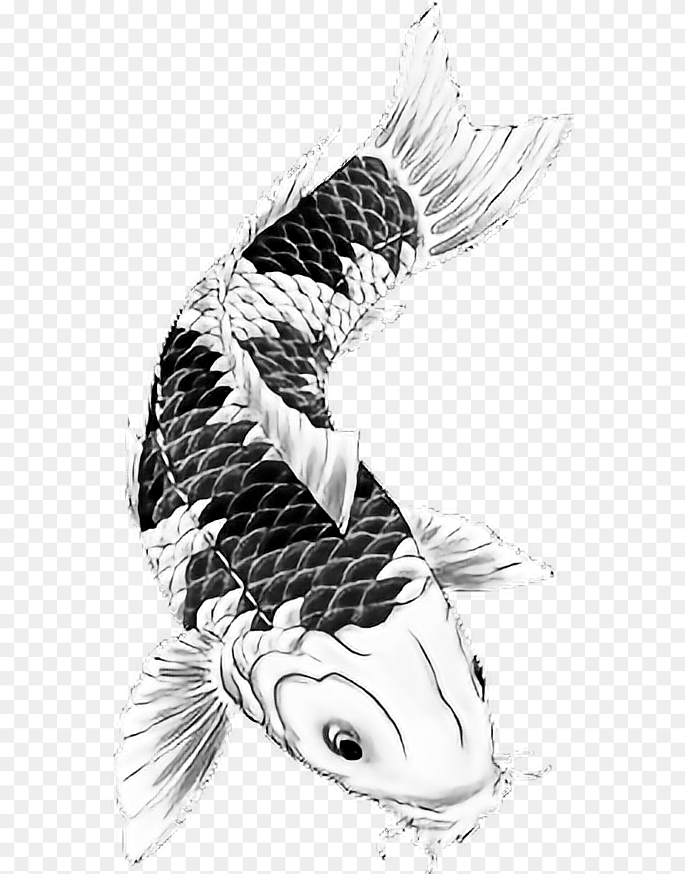 Tattoo Irezumi Fish Blackart Yakuza Ninja Backtattoo, Animal, Carp, Sea Life, Koi Free Png