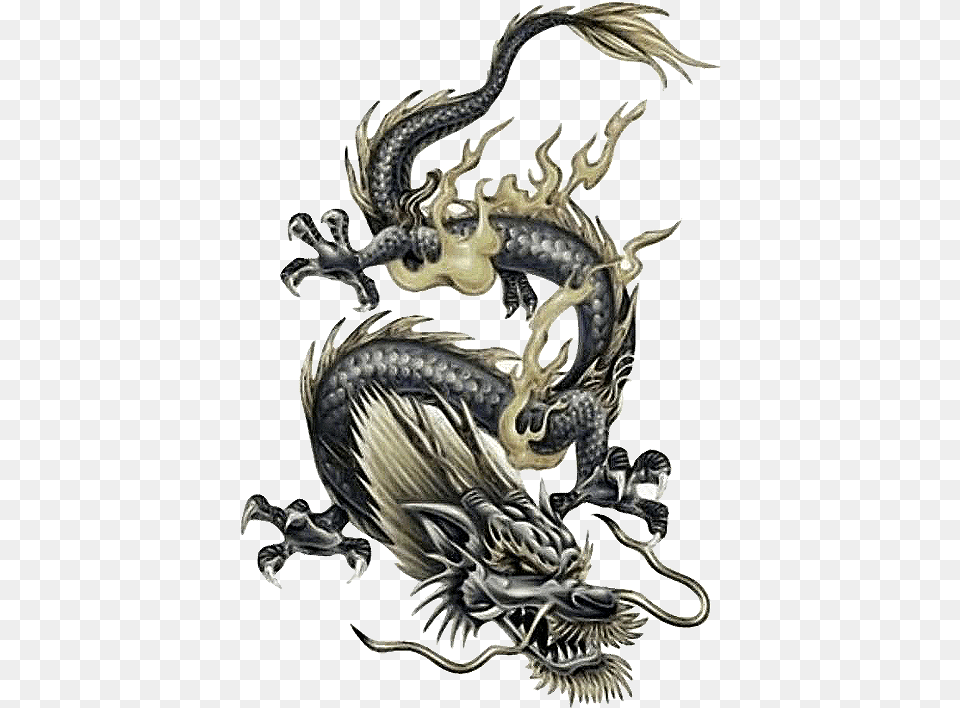 Tattoo Japanese Chinese Dragon Frame Clipart Design Dragon Tattoo, Animal, Insect, Invertebrate Png Image