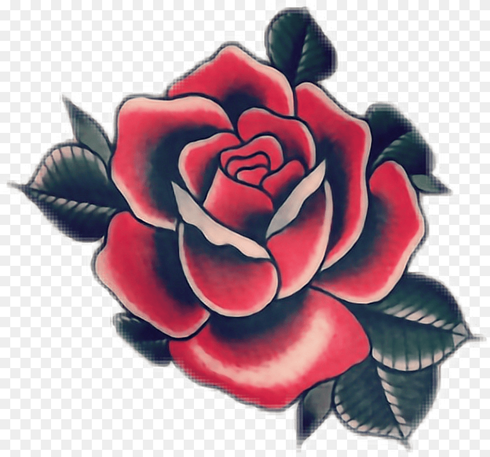 Tattoo Rose Tattoo, Flower, Plant, Art, Pattern Png