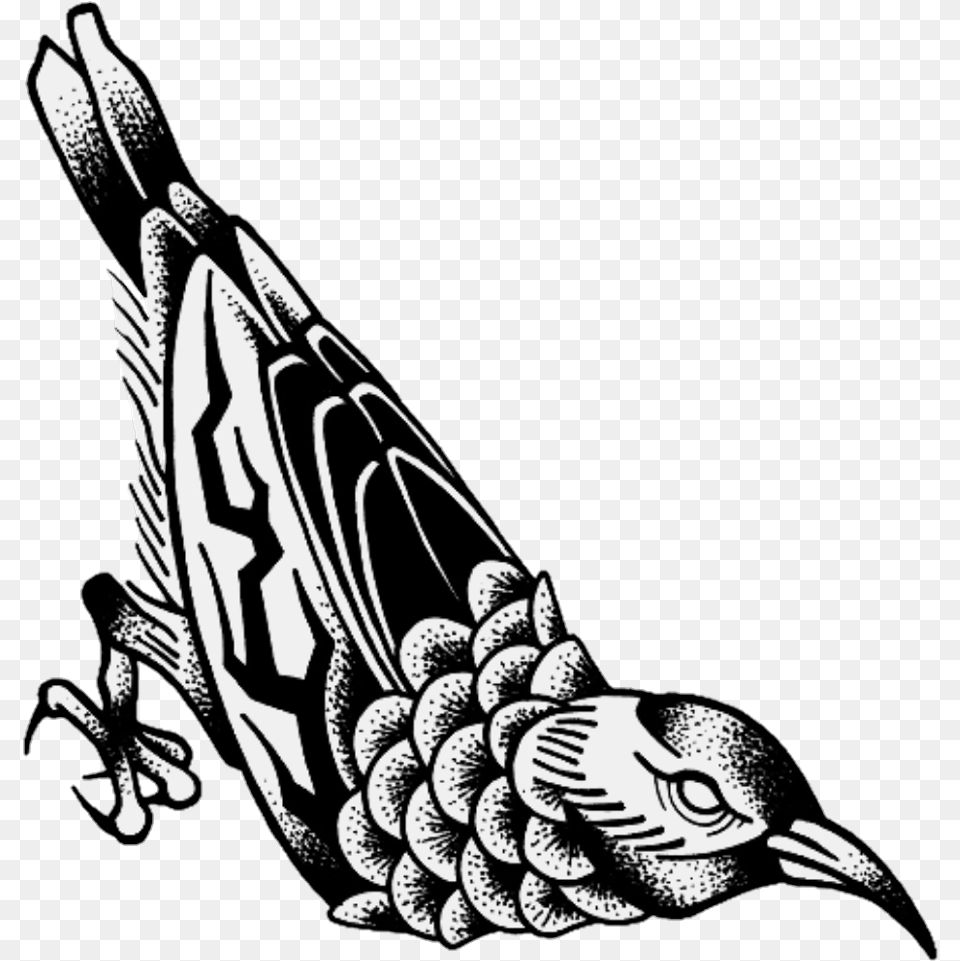 Tattoo Tattooartist Tattoodesign Tattooideas Tattooartwork Illustration, Animal, Beak, Bird, Stencil Free Transparent Png