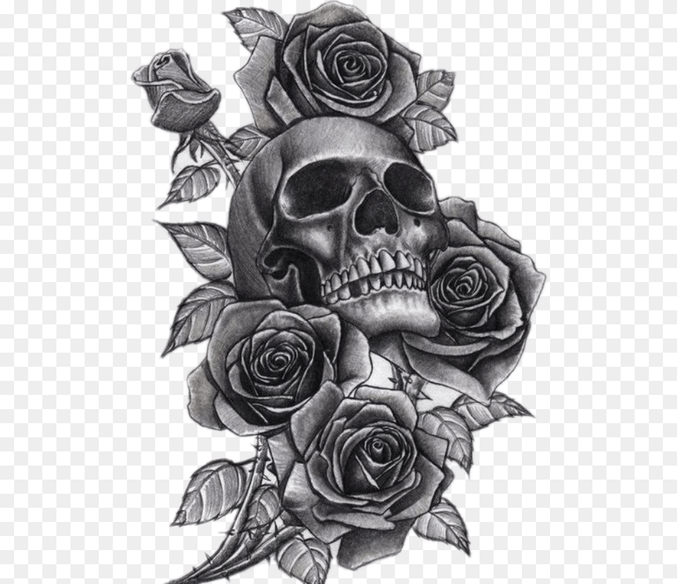 Tattoo Women39s Skull And Roses Tattoo, Art, Accessories, Flower, Plant Free Png Download