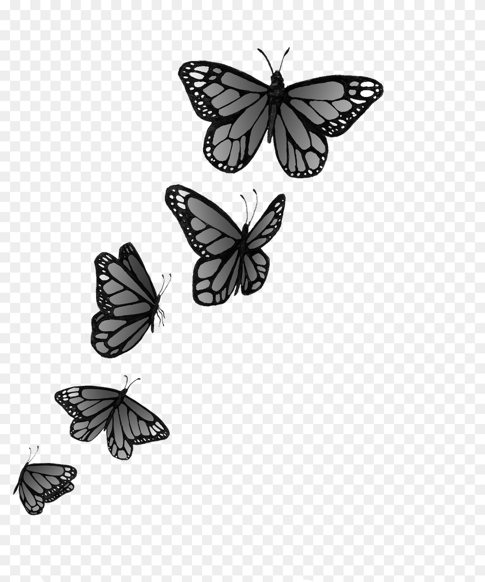 Tatuaje De Mariposas Volando Mariposas, Art, Animal Free Transparent Png