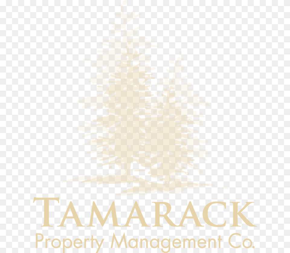 Tauck Tours, Plant, Tree, Vegetation, Conifer Free Transparent Png