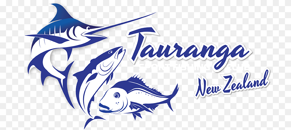 Tauranga Sport Fishing Club Atlantic Blue Marlin, Animal, Fish, Sea Life, Shark Png Image
