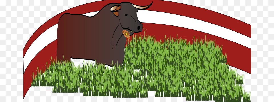 Taureaux, Plant, Mammal, Grass, Animal Free Png