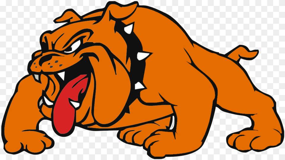 Tavares High School Bulldog, Animal, Baby, Person Png