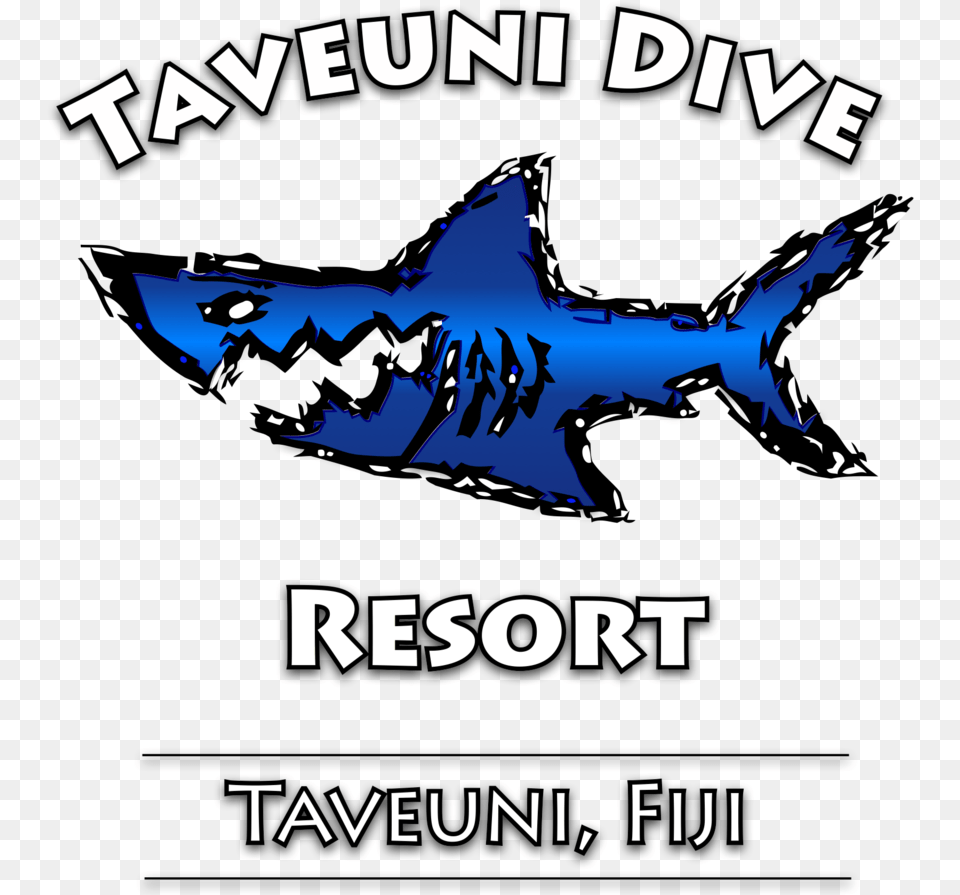 Taveuni Dive Resort, Animal, Sea Life, Fish, Person Free Png