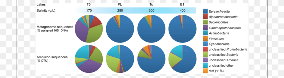 Taxonomic Profiles Of The Microbiota From Hypersaline Japan, Chart, Pie Chart Png Image