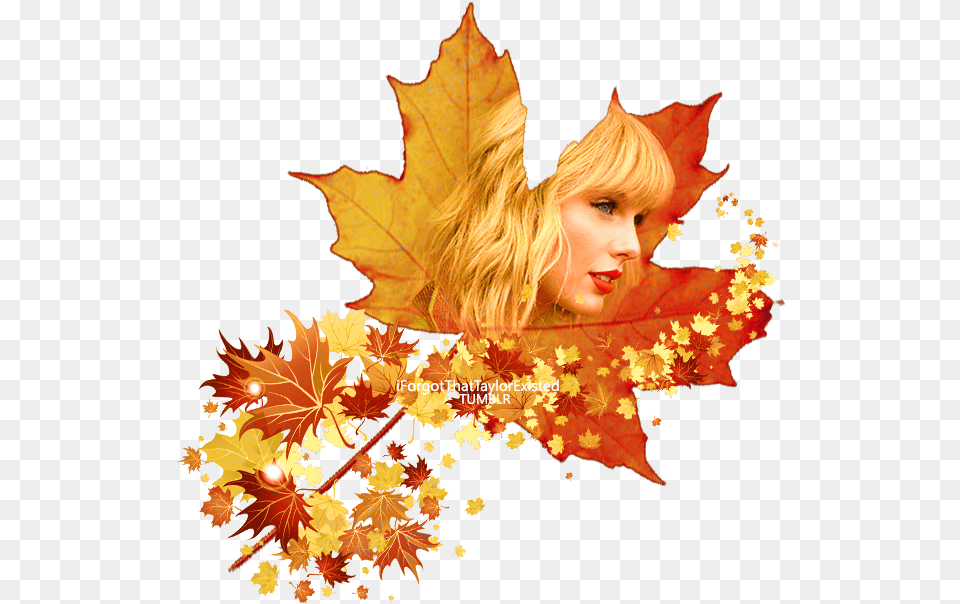 Taylor Swift Full Body, Maple, Tree, Leaf, Plant Png Image
