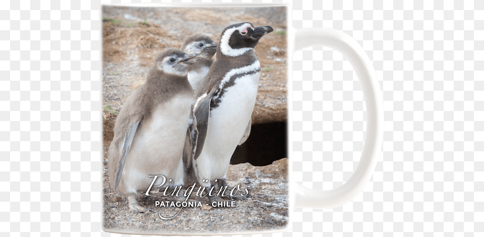 Tazon Ceramico Pat Pinguino Magallanico Y Crias Penguin, Animal, Bird Png Image