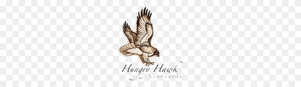 Tbr Presents Hungry Hawk Winemaker Dinner The Barrel Room, Animal, Bird Png