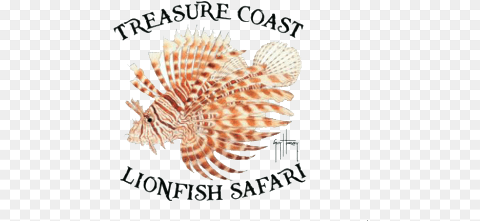 Tc Lionfish Safari Lionfish, Animal, Invertebrate, Sea Life, Seashell Png