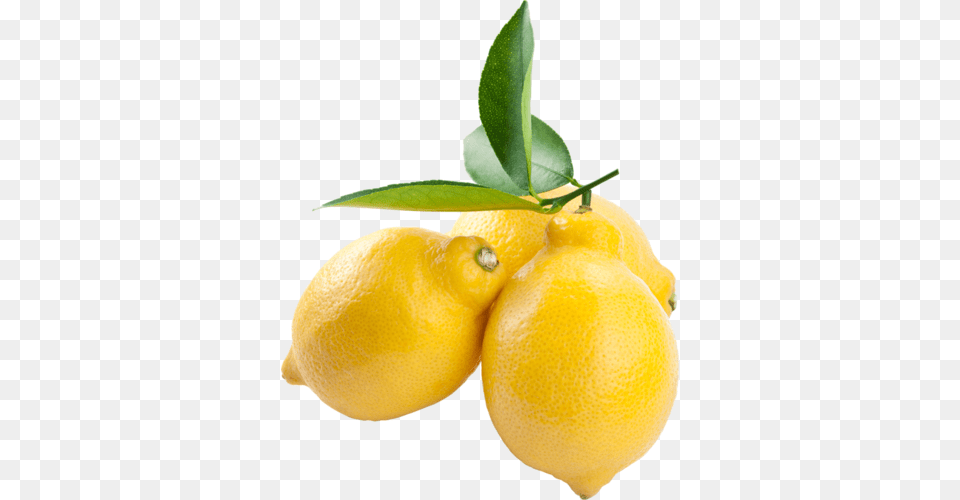 Tcitrusy, Citrus Fruit, Food, Fruit, Lemon Free Png