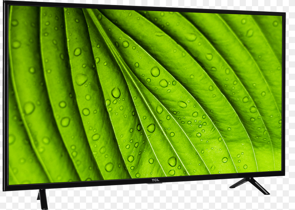 Tcl 40d100 40 Led Tv 2017 Download Free Transparent Png