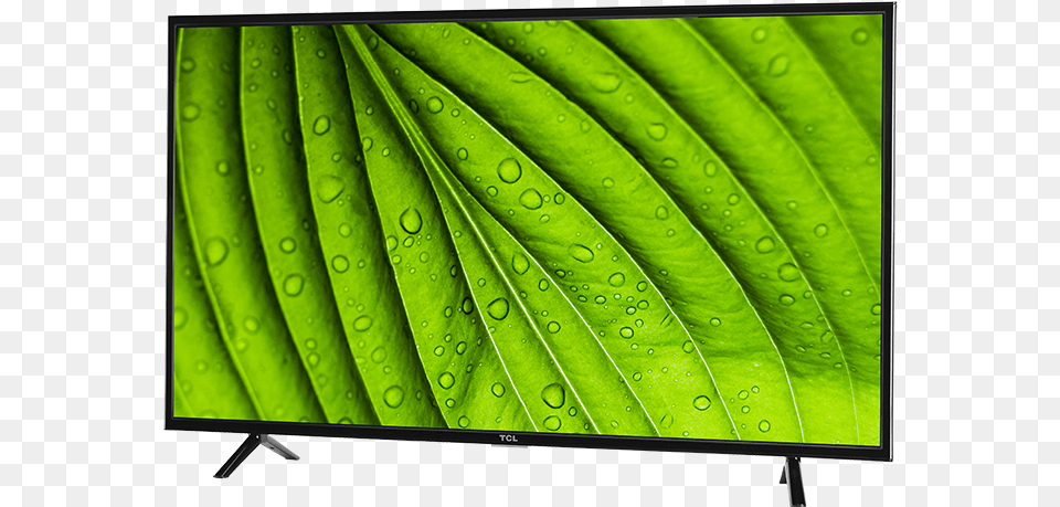Tcl 49 Class D1 Series Led Hdtv Tcl 1 Series, Computer Hardware, Electronics, Hardware, Leaf Free Transparent Png