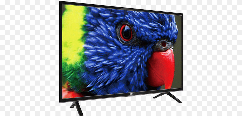 Tcl Led 32 Inch, Computer Hardware, Electronics, Hardware, Monitor Free Png Download