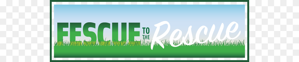 Tco Fescuetotherescue Graphic Design, Grass, Green, Plant, Lawn Free Png