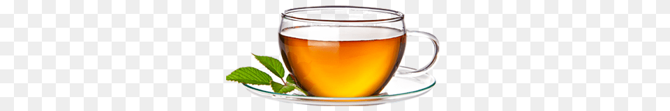 Tea, Beverage, Saucer, Herbal, Herbs Png