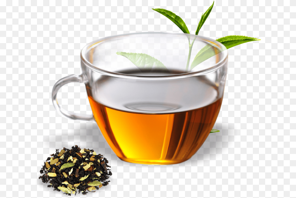 Tea, Beverage, Green Tea, Cup, Herbal Png