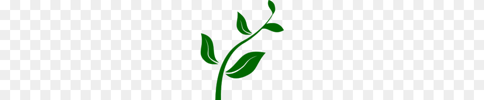 Tea Bag Clip Art When You Use, Green, Herbal, Herbs, Leaf Free Png
