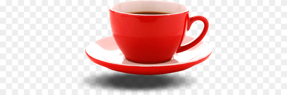 Tea Cup Photos Tea Cup, Saucer, Beverage, Coffee, Coffee Cup Free Transparent Png