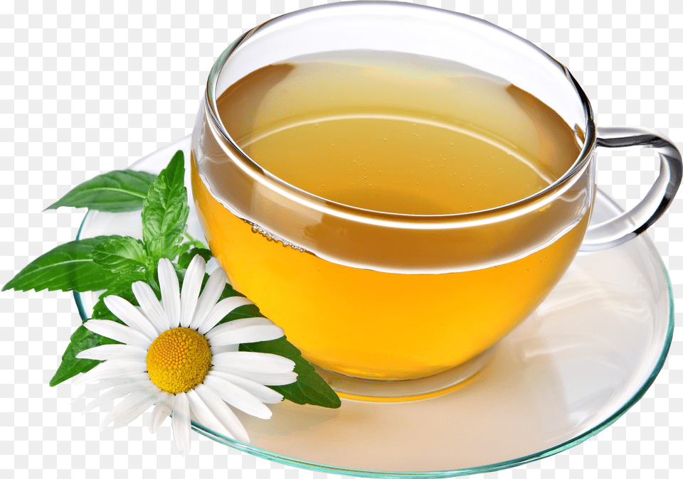 Tea Hd Photo Chamomile Tea, Beverage, Plant, Herbs, Herbal Free Png Download
