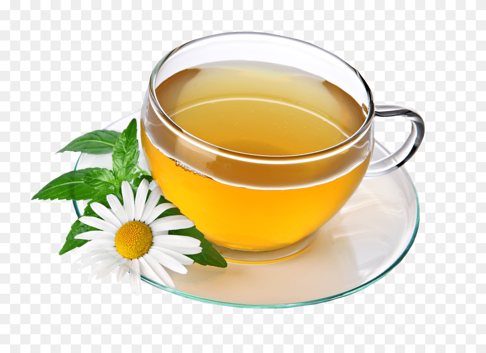 Tea Pic, Beverage, Plant, Herbs, Herbal Free Transparent Png