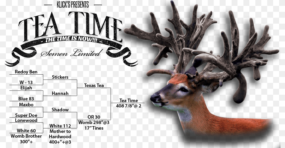 Tea Time Deer Tea Time For Guys, Animal, Antler, Mammal, Wildlife Free Png