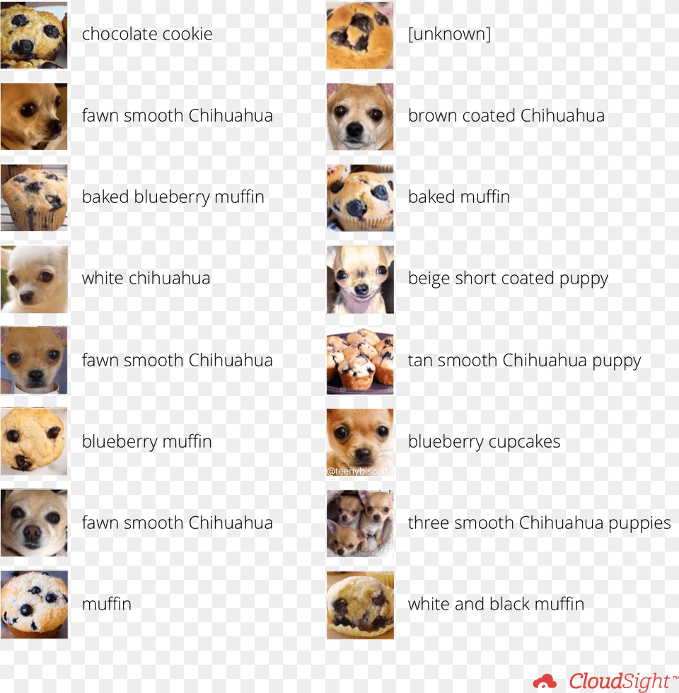 Teach A Computer The Difference Between A Muffin And, Art, Collage, Animal, Canine Free Transparent Png