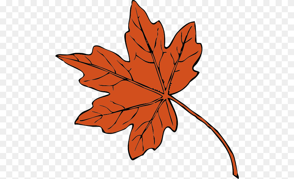 Teacher Clip Art, Leaf, Maple Leaf, Plant, Tree Free Transparent Png