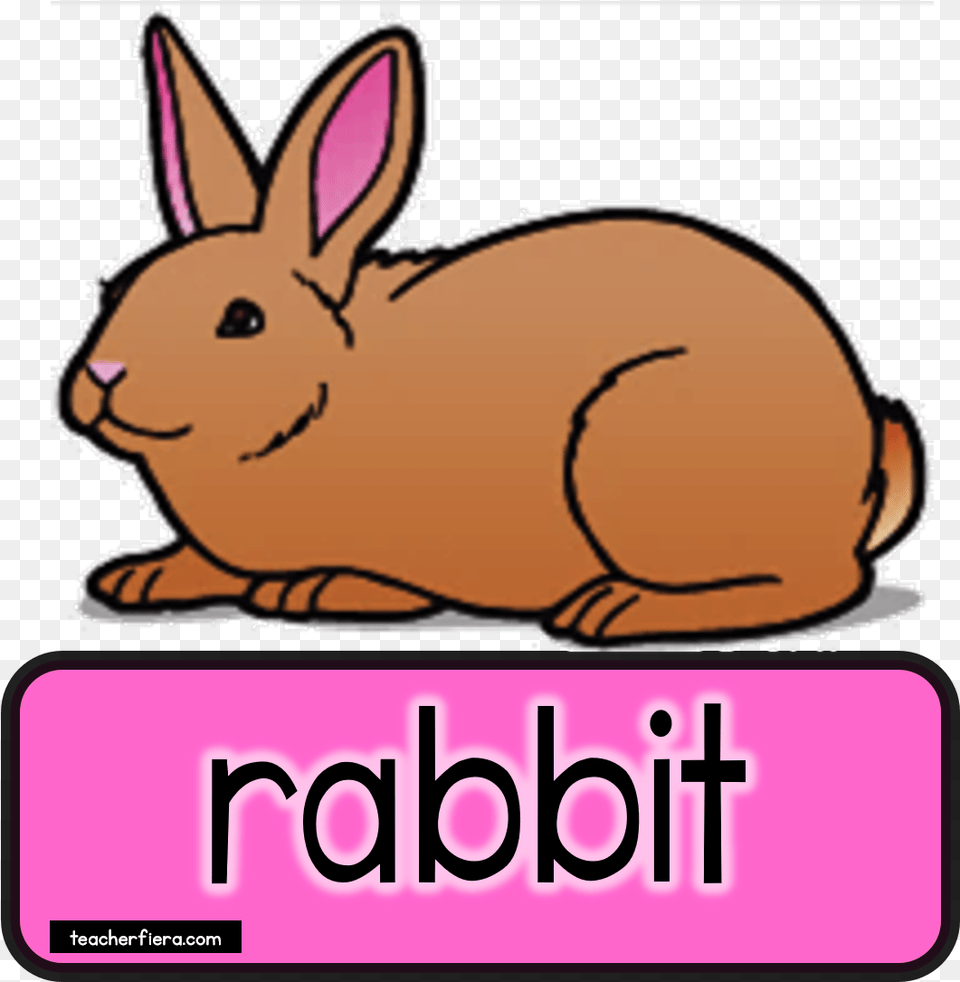 Teacherfiera Com Would Really Rabbit Clip Art, Animal, Mammal, Face, Head Png Image