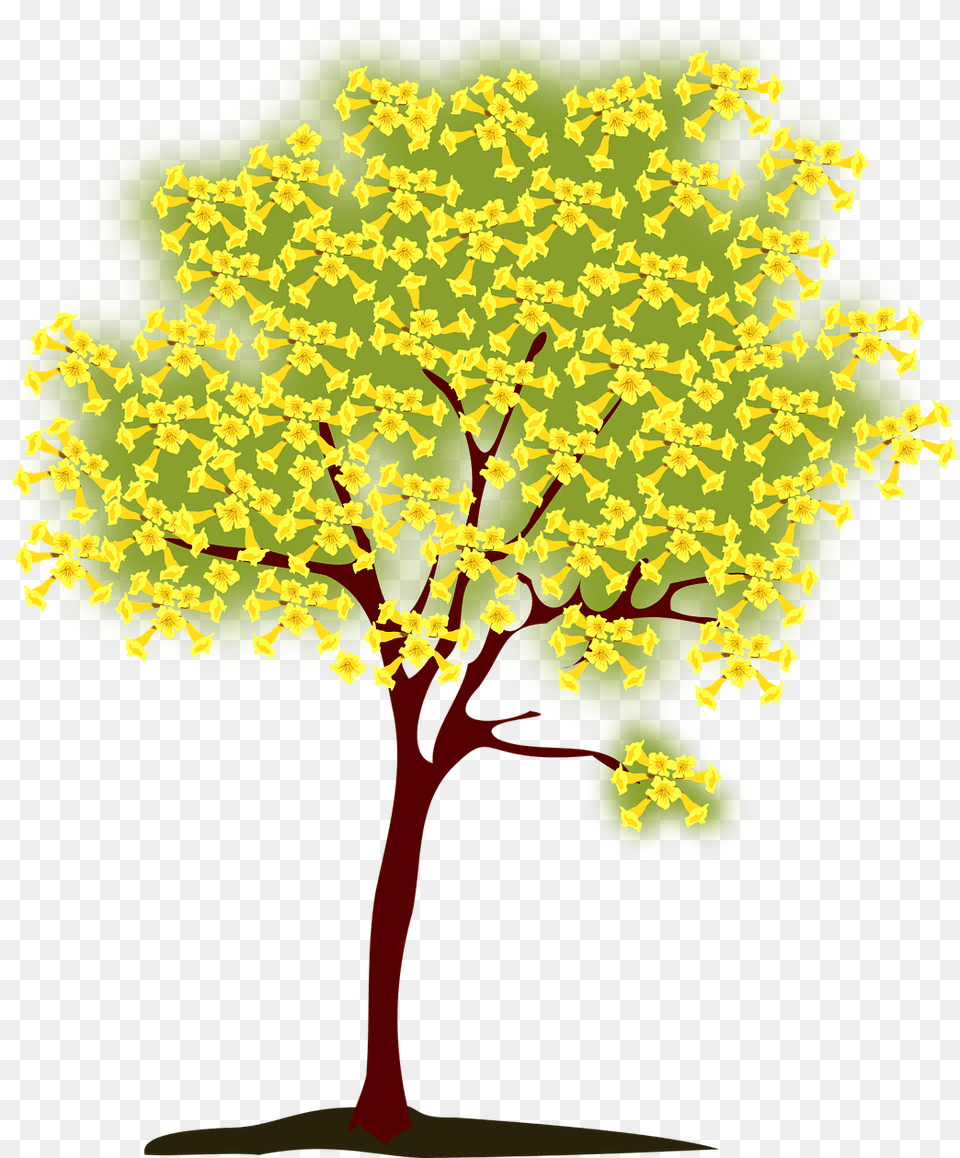 Teachers Plant Seeds That Grow Forever, Tree, Oak, Sycamore, Maple Free Transparent Png