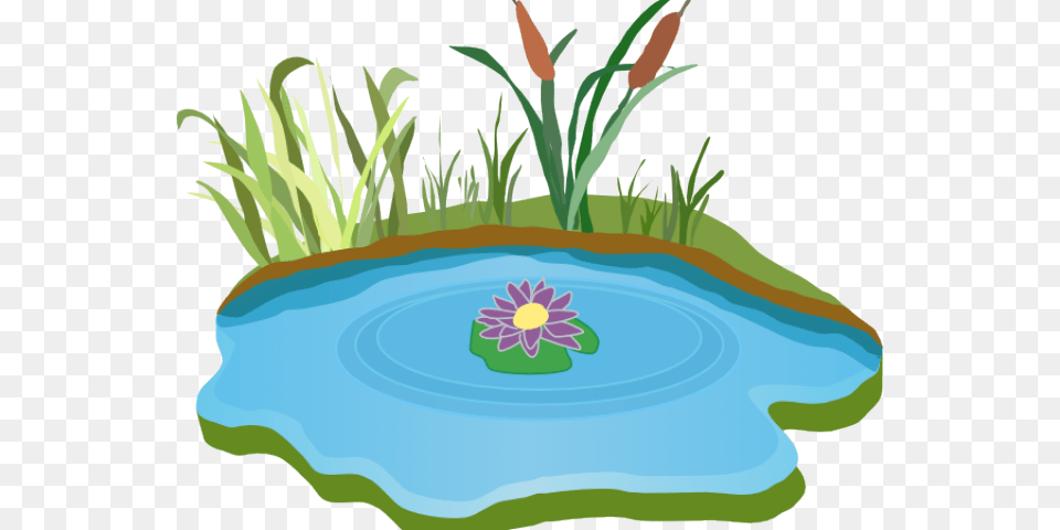 Teaching Aids For Numbers, Pond, Outdoors, Nature, Water Free Png Download