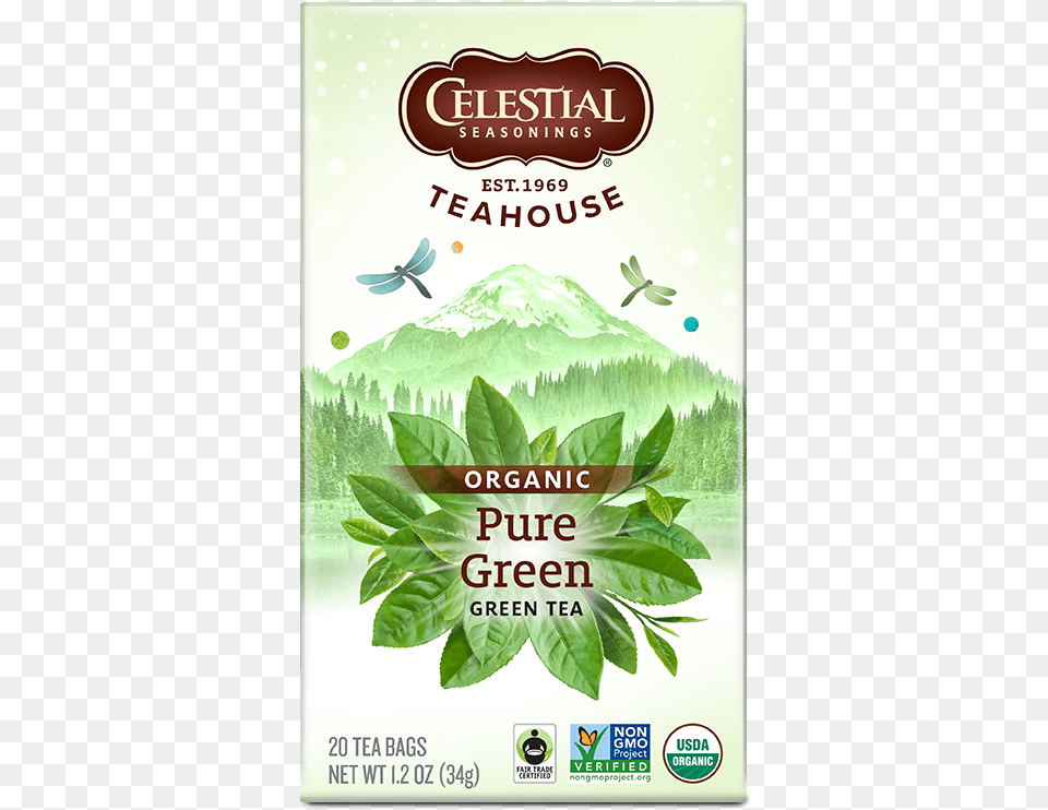 Teahouse Organic Pure Green Tea Teahouse Organics Ginger Turmeric, Advertisement, Herbal, Herbs, Plant Free Png