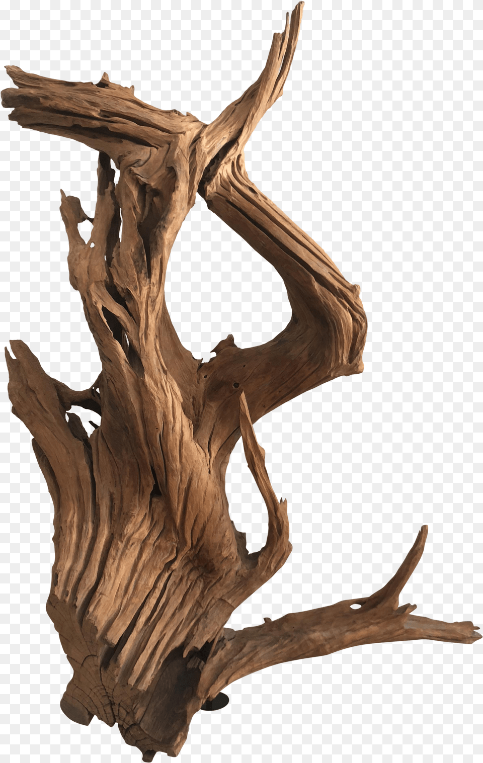 Teak Driftwood Sculpture Twig Png