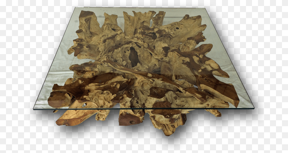 Teak Root Coffee Table, Coffee Table, Furniture, Wood, Tabletop Free Png Download