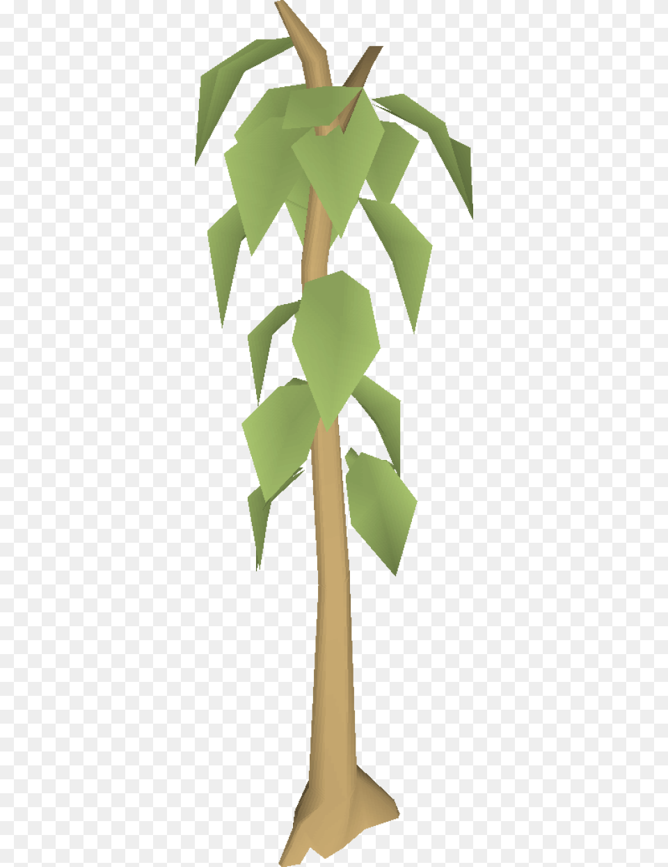 Teak Tree Clipart, Plant, Leaf, Green, Symbol Png Image