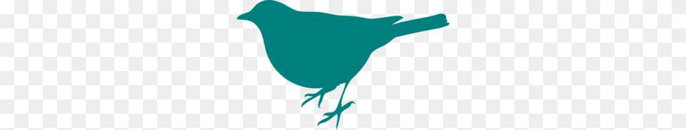 Teal Bird Silhouette Clip Art, Animal, Jay, Person Free Transparent Png
