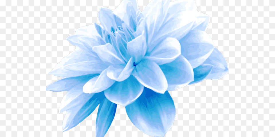 Teal Clipart Blue Green Flower Light Blue Flower, Dahlia, Plant, Person Free Transparent Png