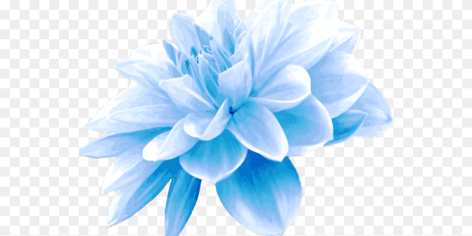 Teal Clipart Blue Green Flower Light Blue Flowers Dahlia, Plant, Person Free Transparent Png