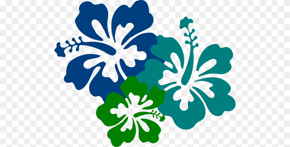 Teal Clipart Hibiscus Flower, Plant Png