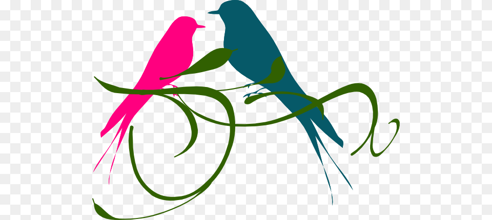 Teal Clipart Love Bird, Animal Png