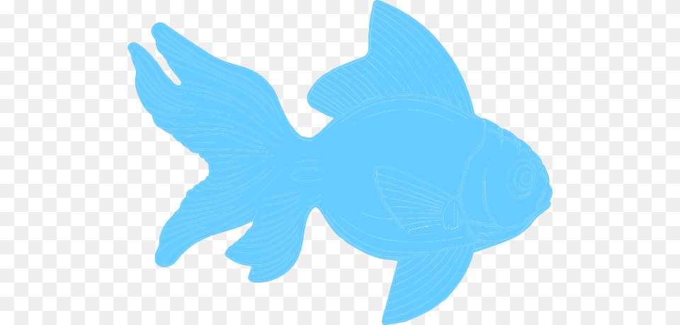 Teal Fish Cliparts, Silhouette, Animal, Sea Life, Baby Free Png