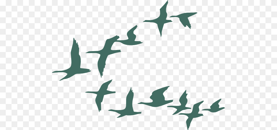 Teal Flock Of Geese Clip Art, Animal, Bird, Flying Free Transparent Png