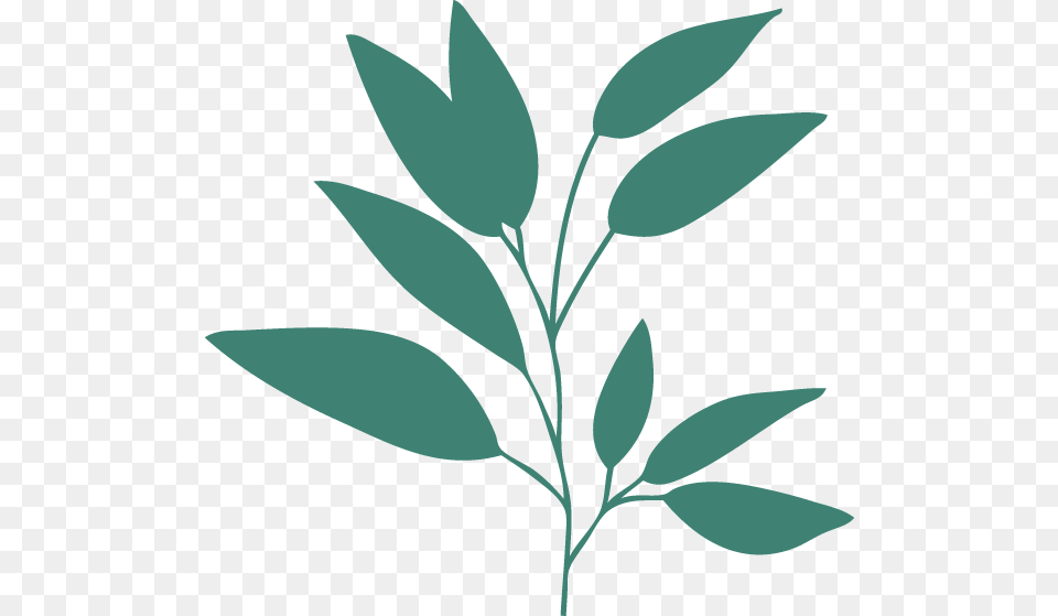 Teal Leaves Gold Leaf Plant Leaves Teal Turquoise, Herbal, Herbs Png Image