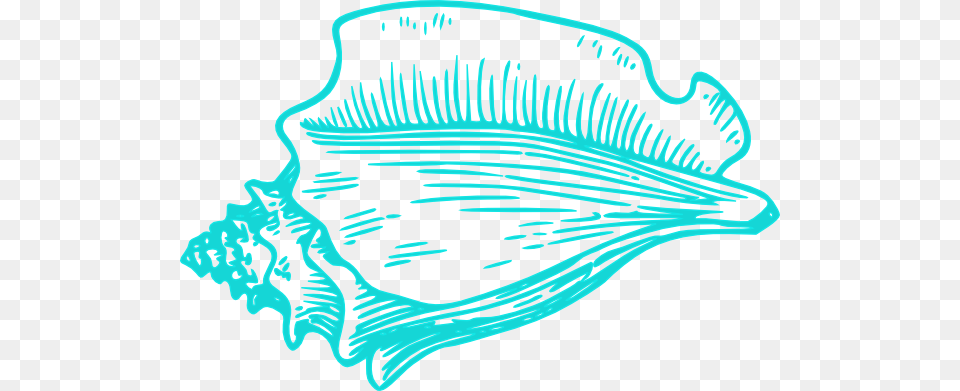 Teal Light Conch Shell Clip Art, Animal, Invertebrate, Sea Life, Seashell Png