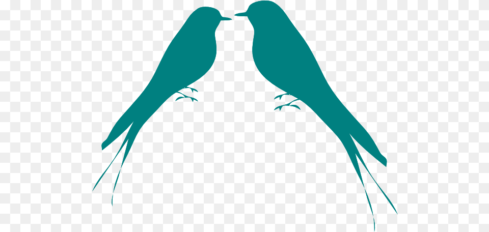 Teal Love Birds Clipart Bird Silhouette, Adult, Female, Person, Woman Free Transparent Png